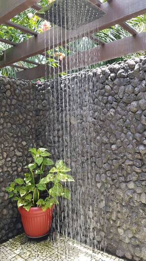 A water feature with a stone wall and a potted plant.