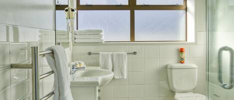 A modern bathroom with a glass shower enclosure, a toilet, a sink, and a window.
