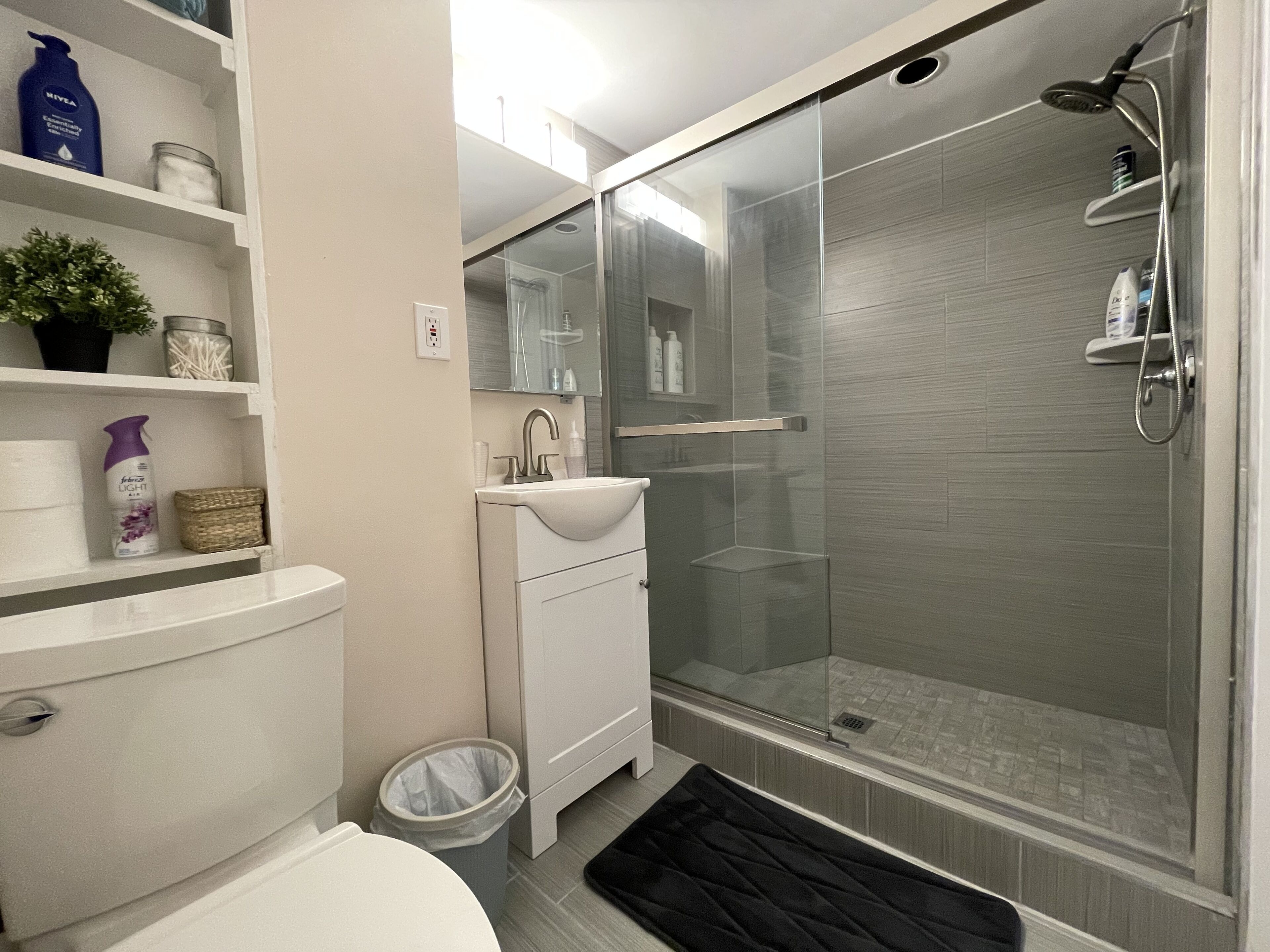 Regadera, secadora de cabello, toallas, jabón 