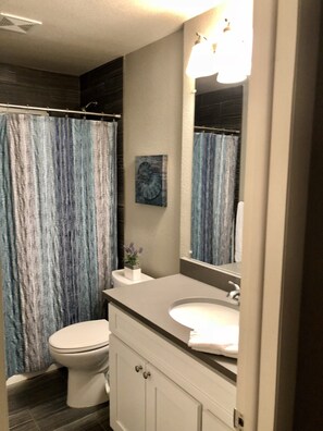 Combined shower/tub, hair dryer, towels, soap - Midcentury Mod and Marvelous! (Lakewood)