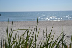 Uma praia com grama ao primeiro plano e o oceano ao fundo.