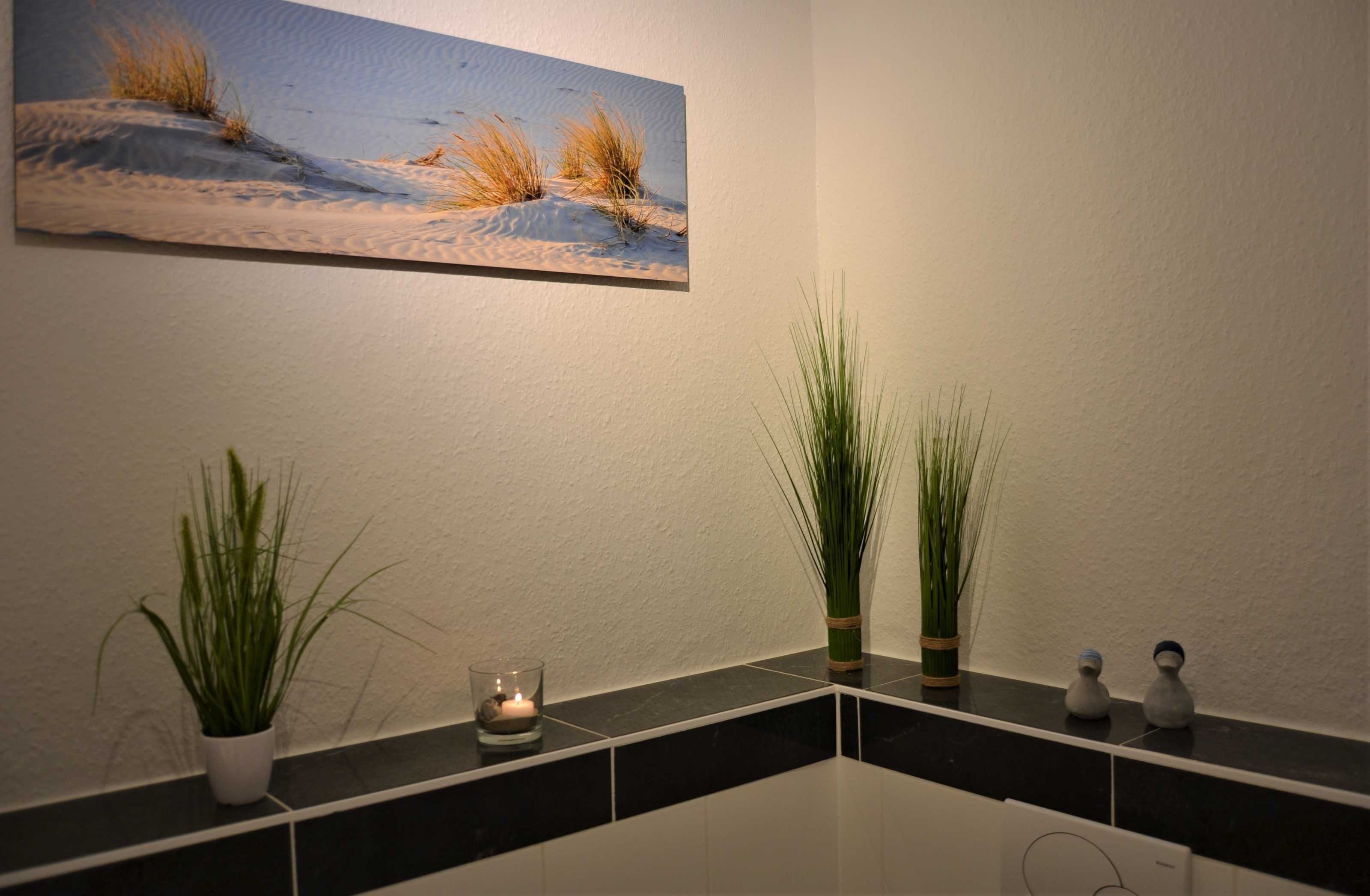Une salle de bain moderne avec un grand tableau représentant un paysage désertique, un miroir et deux plantes en pot posées sur le comptoir.