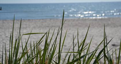 Appartement Strandläufer in Binz mit Südbalkon - Appartement mit 1 SZ und Schlafsofa - Aufbettung 3