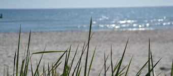 Appartement StrandlĂ€ufer in Binz mit SĂŒdbalkon - Appartement mit 1 SZ und Schlafsofa - Aufbettung 3