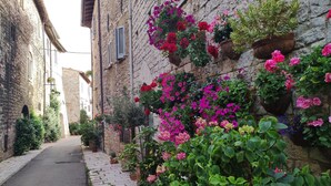 A narrow cobblestone street flanked by stone buildings with flower boxes and greenery. - Antica Assisi Apartment - in the Historic Center with Bedroom, Bath and Kitchen (Assisi)