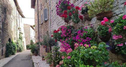 Antica Assisi Apartment - in the Historic Center with Bedroom, Bath and Kitchen