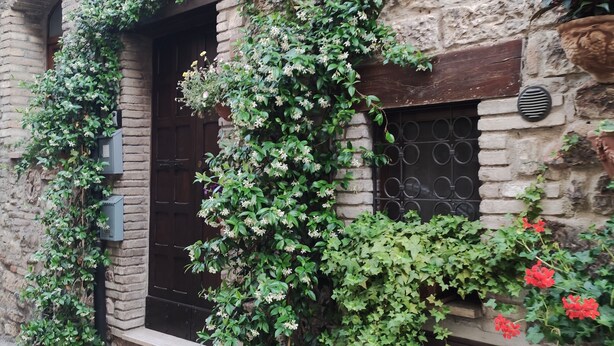 A stone building with a wooden door, a potted plant in front, and a metal gate to the right. - Antica Assisi Apartment - in the Historic Center with Bedroom, Bath and Kitchen (Assisi)