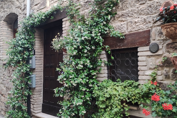 entrance - ingresso
