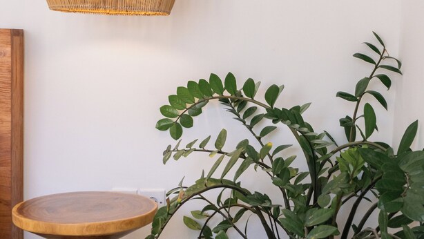 Ett rum med en flätad hänglampa, ett träbord och en flätad blomkruka.