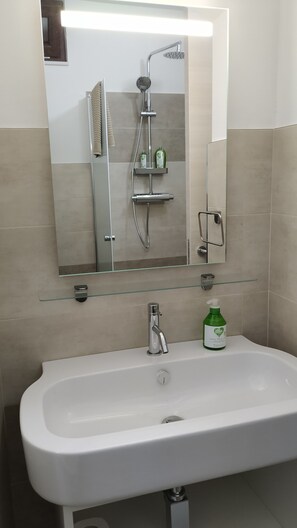 Shower, hair dryer, bidet, towels