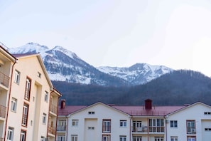 Apartment | Ausblick vom Zimmer