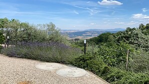 Ein Kiesweg führt zu einer Aussichtsplattform mit Blick auf weit entfernte Hügel und Felder.