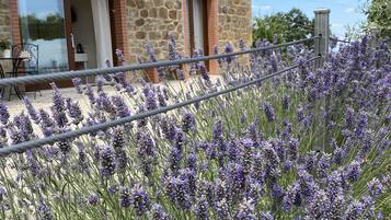 DĂ©tail de lâextĂ©rieur