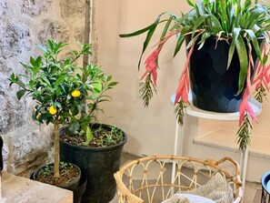 公寓, 多張床 | 外觀