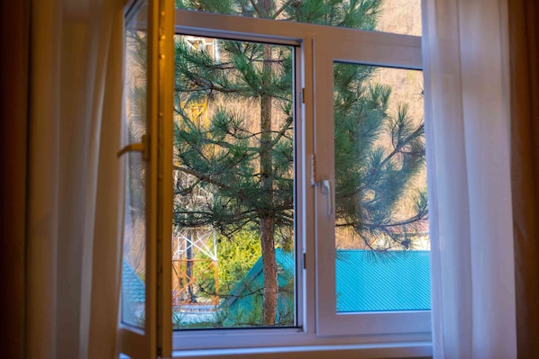 Apartment | Ausblick vom Zimmer