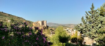 Espectacular y Acogedor Alojamiento Rural La Viña del Cerezo