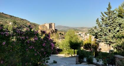 Espectacular y Acogedor Alojamiento Rural La Viña del Cerezo