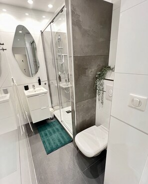 Shower, hair dryer, towels, soap