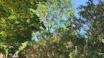 Overnatningsstedets område