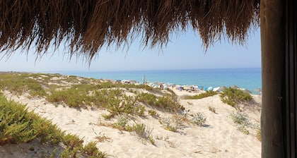 Comporta House | A Peaceful Retreat Near Comporta Beach