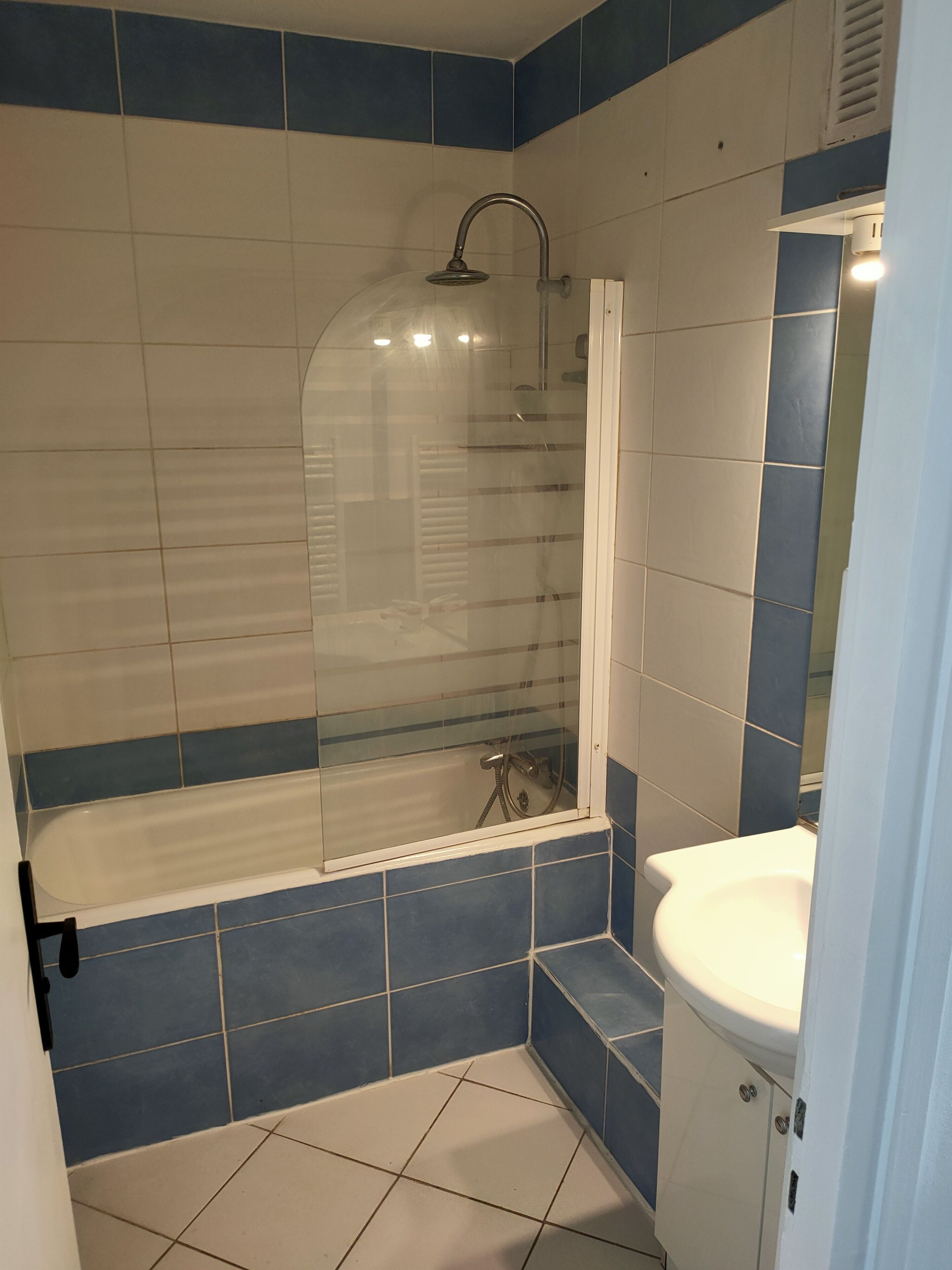 Banyera, assecador de cabells, tovalloles i sabó 