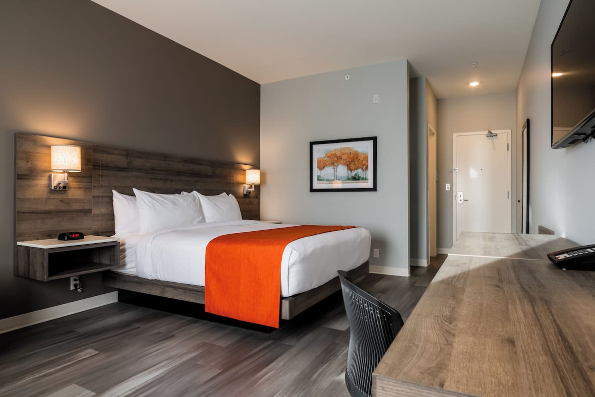Een moderne hotelkamer met een bed, bedlampen, een bureau en een ingelijst schilderij aan de muur.