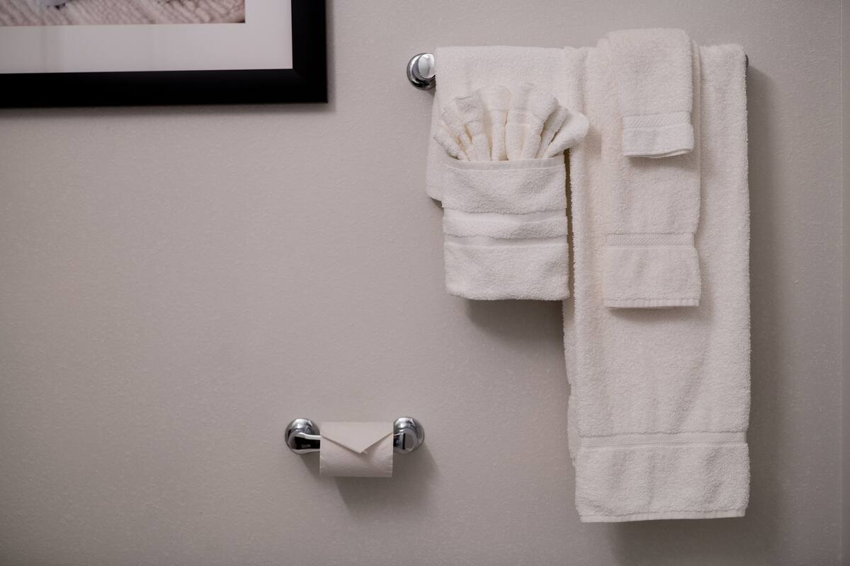 rainfall showerhead, hair dryer, towels, soap