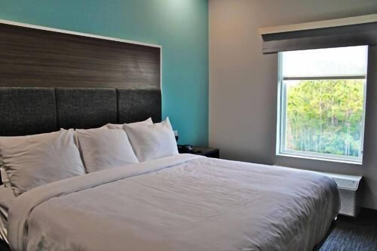A neatly made bed with white linens in a room with teal walls and a window with a view of greenery.
