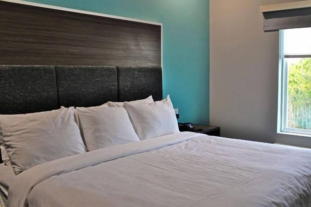 A neatly made bed with white linens in a room with teal walls and a large window.