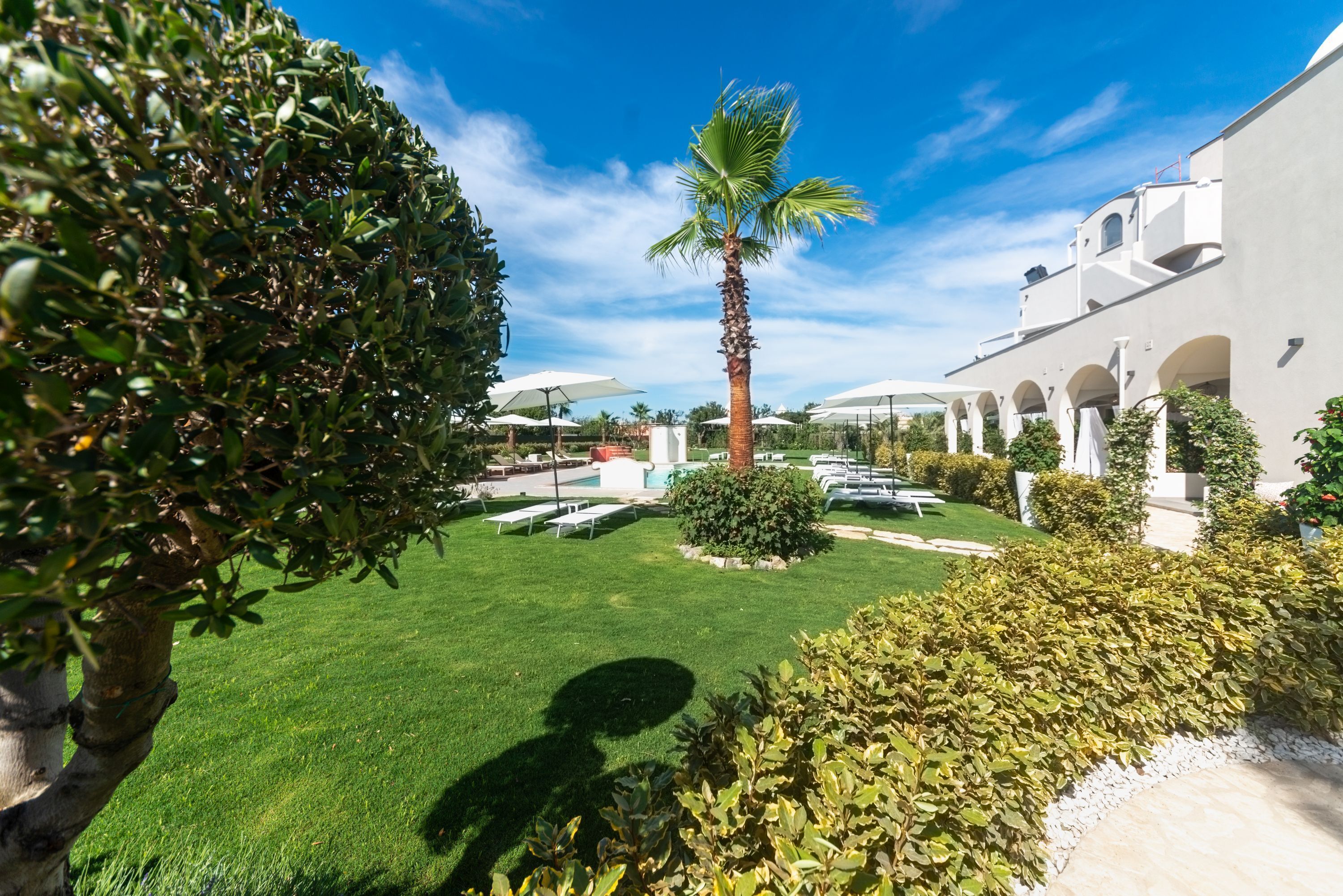 A well-maintained courtyard with a palm tree, neatly trimmed hedges, and a building with arches and white walls.