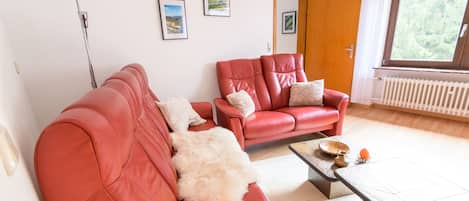 Televisión y libros