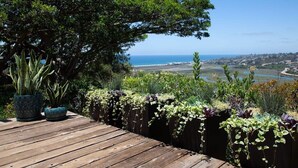 Une terrasse en bois agrémentée de plantes en pot et offrant une vue sur l’océan.