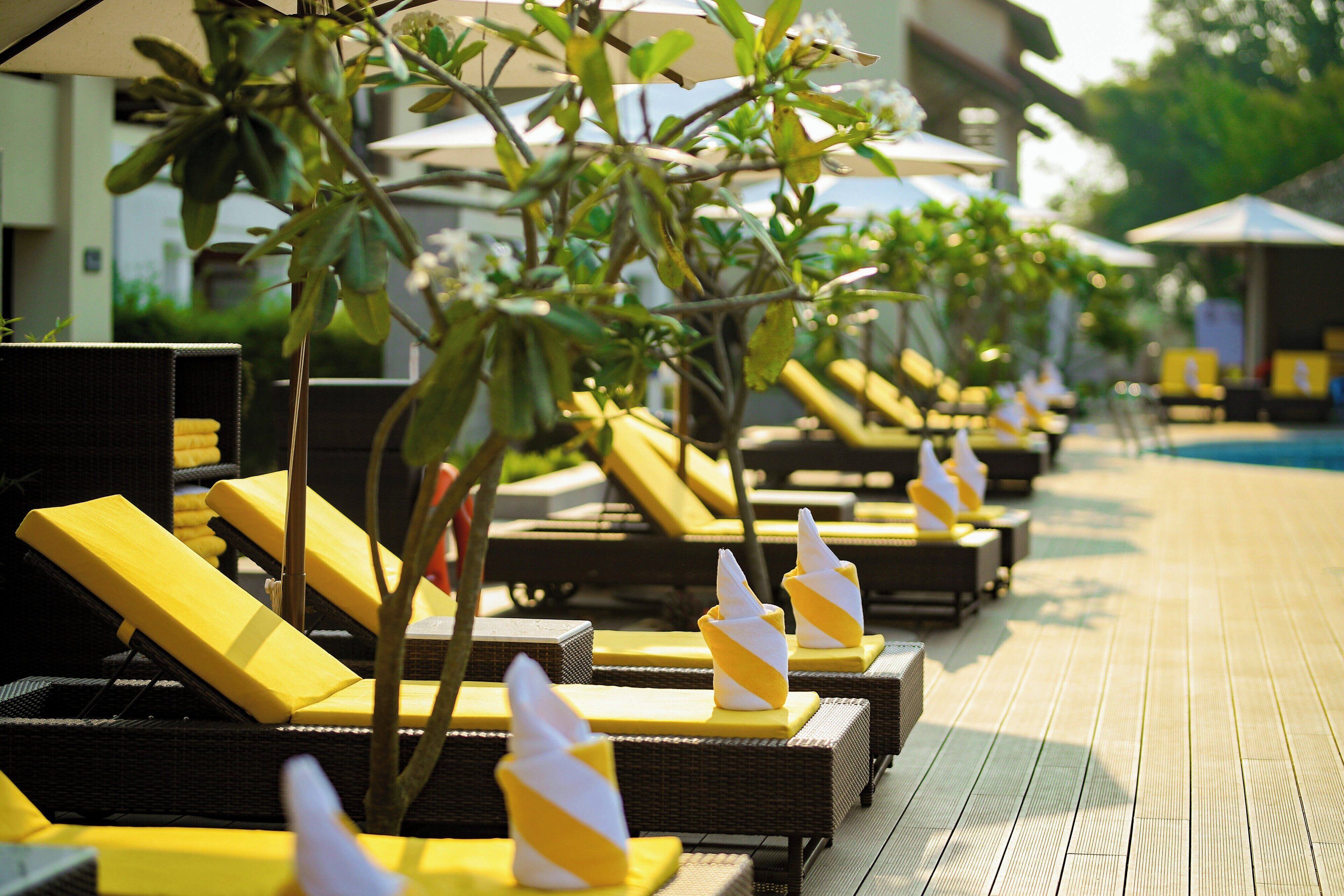 Outdoor pool, open 6:30 AM to 8:00 PM, pool umbrellas, sun loungers