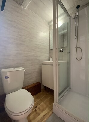 Shower, towels, soap, toilet paper