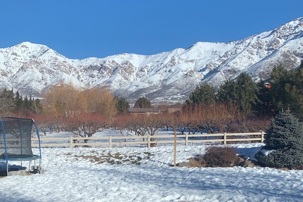 Mt. Ben Lomond to the left of Picture 9,711 feet. Orchard adjacent to property