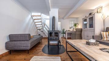 TV, fireplace, DVD player, books