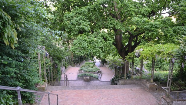 A paved pathway leading to a garden area with benches and railings.