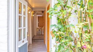 Un couloir étroit, avec une porte en bois sur la gauche et une plante sur la droite.