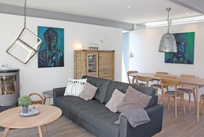 Télévision, cheminée, livres, chaîne hi-fi