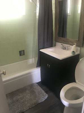 Bathtub, hair dryer, towels, shampoo - TRANQUILITY CABIN ON THE WATER DOOR COUNTY WI (Sturgeon Bay)