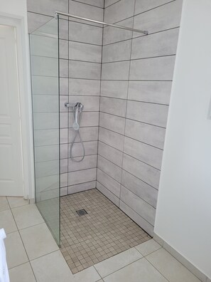 Shower, hair dryer