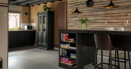 You are looking for a Lovely Spacious 4 person Apartment on the Oosterschelde?