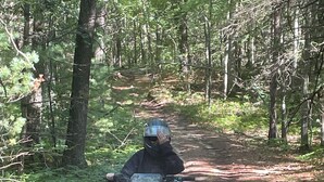 A person riding an ATV on a forest trail.
