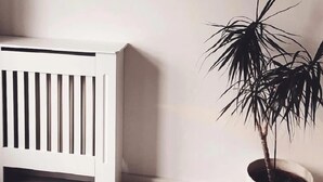 A white radiator, a potted plant, and a wall with a feather artwork. - Ferienwohnung auf dem Lande (Twedt)