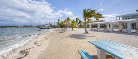 Plage à proximité, chaises longues, serviettes de plage