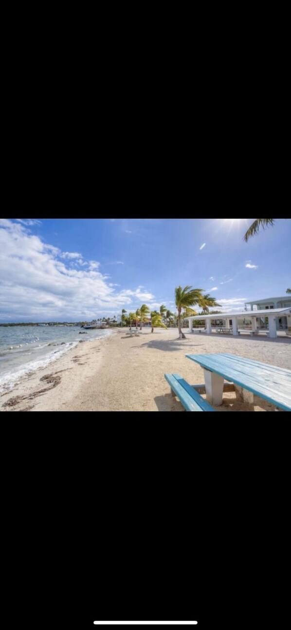 Plage à proximité, chaises longues, serviettes de plage