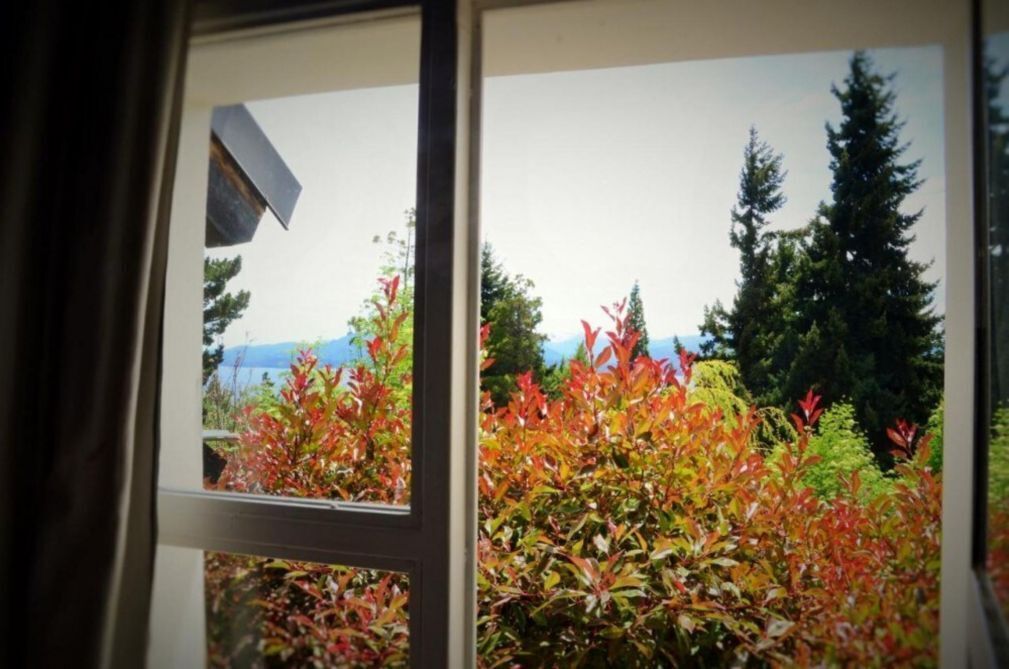 Una finestra con vista su un giardino ricco di arbusti e alberi.