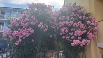 Enceinte de lâhĂ©bergement
