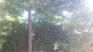 Un banco con dos plantas en macetas, rodeado de follaje denso y un árbol.