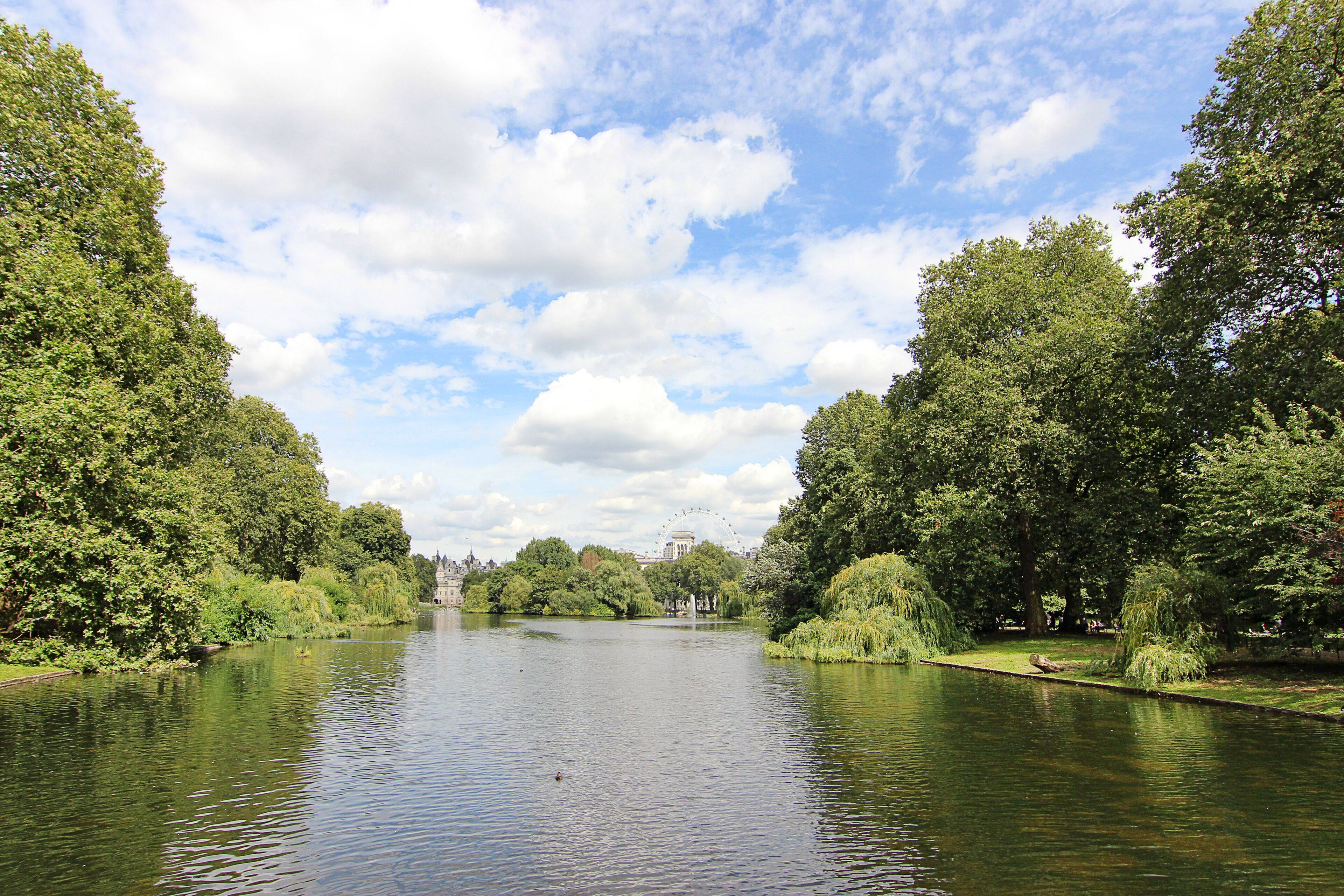 A calm river with trees on both sides, a clear sky, and a distant building.